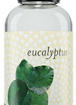 Eucalyptus Single Fragrance